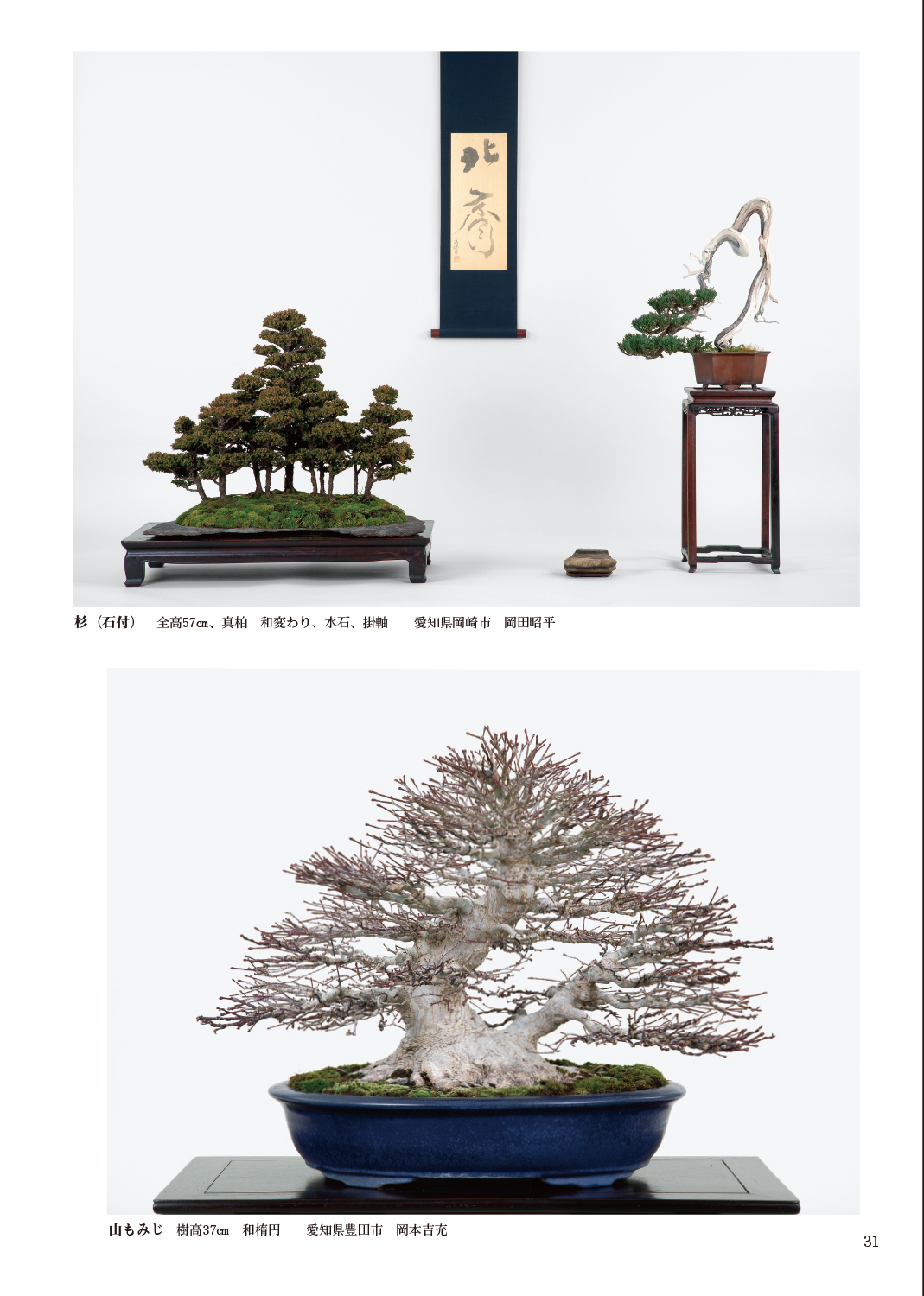 第93回 銘風盆栽展 記念帖 | 盆栽、盆栽書籍、盆栽鉢の通販│近代出版