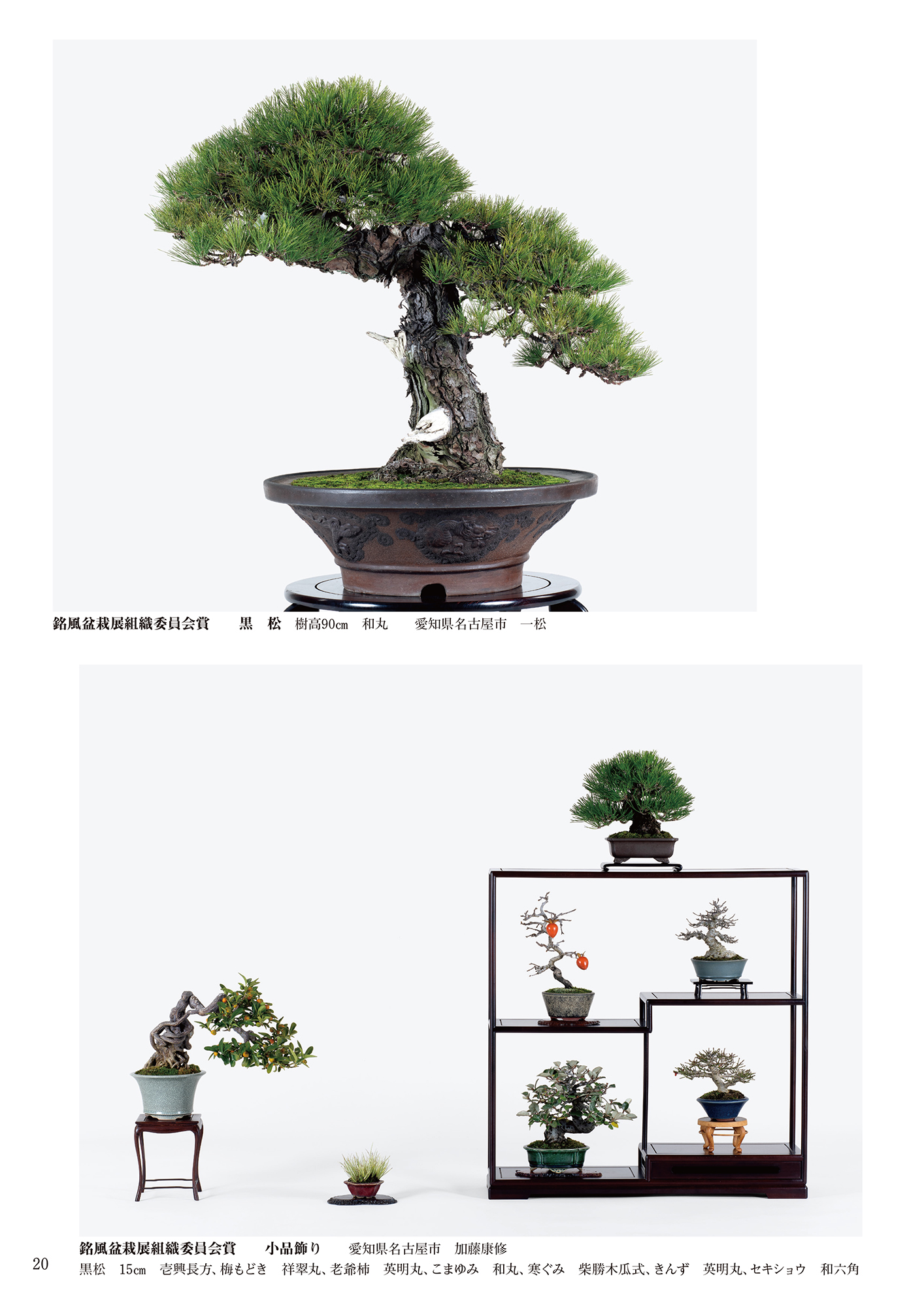 第94回 銘風盆栽展 記念帖 | 盆栽、盆栽書籍、盆栽鉢の通販│近代出版