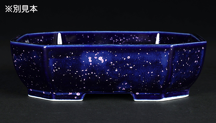 平安泉山紫結晶隅切長方鉢 | 盆栽、盆栽書籍、盆栽鉢の通販│近代出版