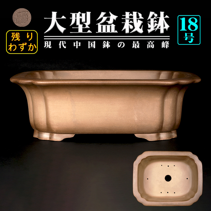 烏泥外縁隅入長方鉢 | 盆栽、盆栽書籍、盆栽鉢の通販│近代出版