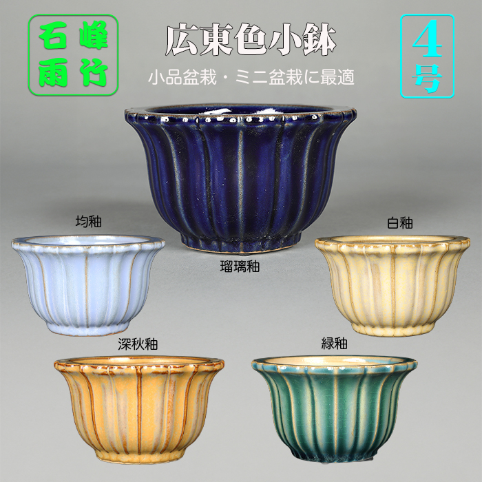 石峰雨竹製 | 盆栽、盆栽書籍、盆栽鉢の通販│近代出版