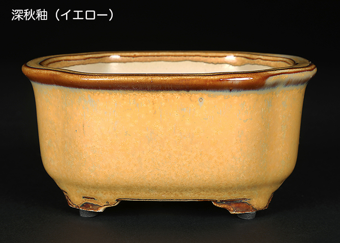 広東隅切長方鉢〔石峰雨竹〕 | 盆栽、盆栽書籍、盆栽鉢の通販│近代出版