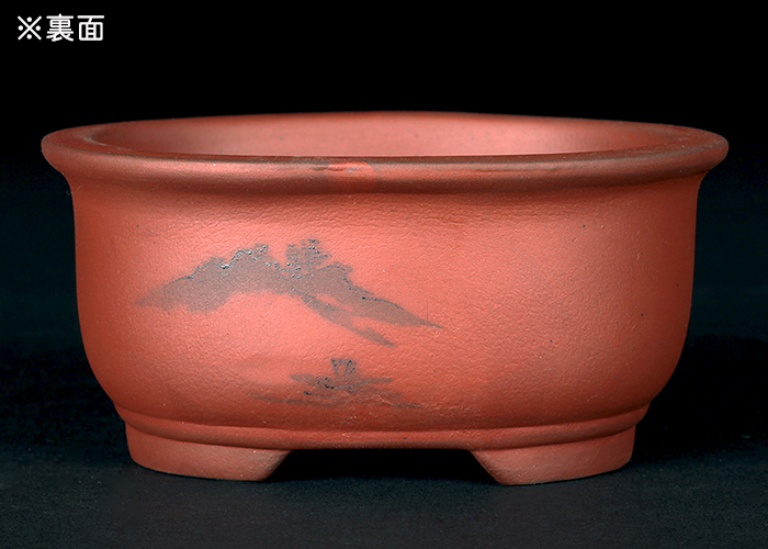 瀬戸焼文山窯朱泥絵付鉢4点セット | 盆栽、盆栽書籍、盆栽鉢の通販