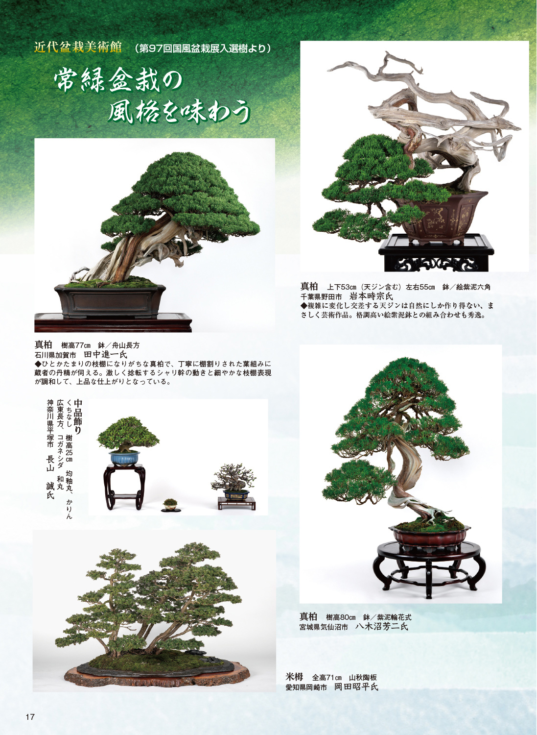 月刊「近代盆栽」2023年10月号 | 盆栽、盆栽書籍、盆栽鉢の通販│近代出版