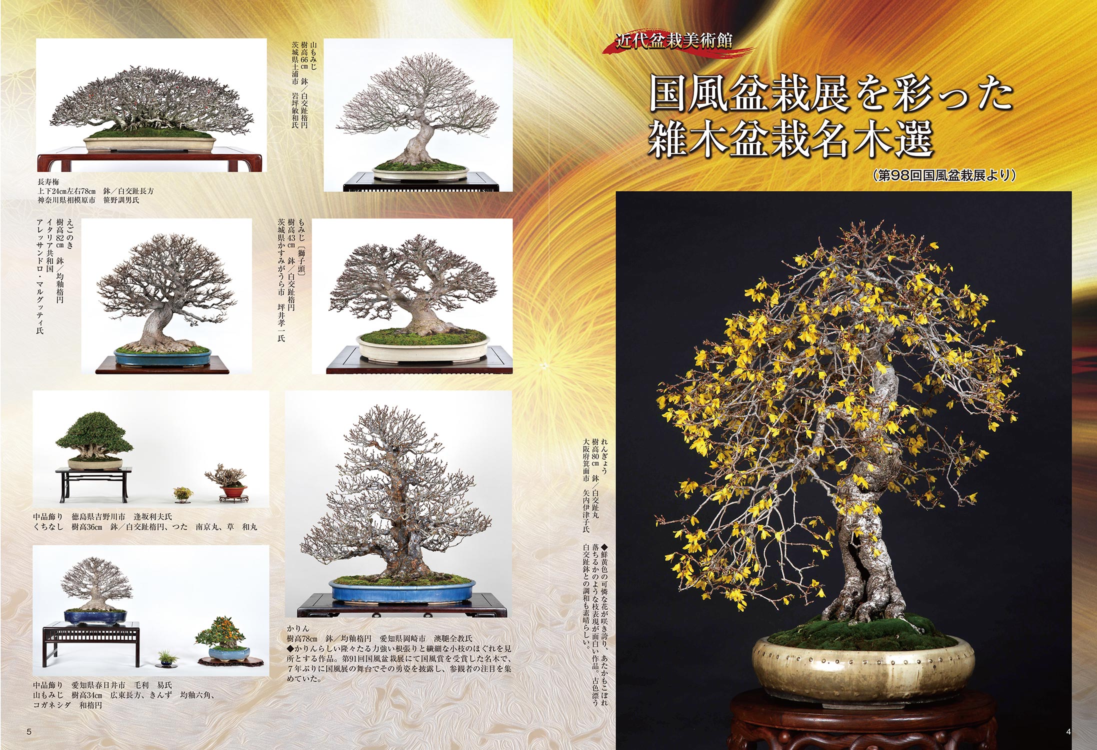 月刊「近代盆栽」2024年11月号 | 盆栽、盆栽書籍、盆栽鉢の通販│近代出版