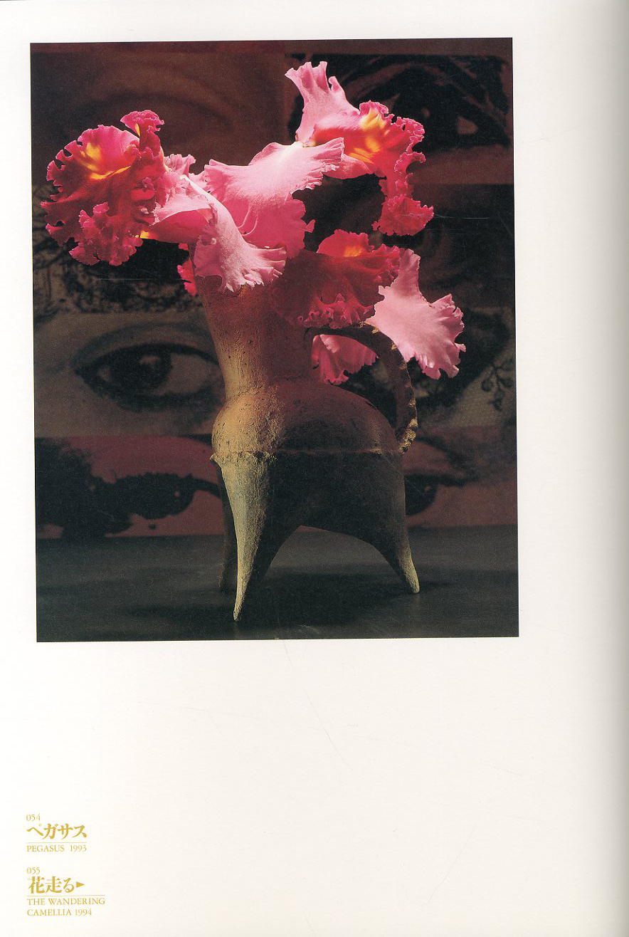 魔の山 中川幸夫作品集 / 中川幸夫 | 小宮山書店 KOMIYAMA TOKYO