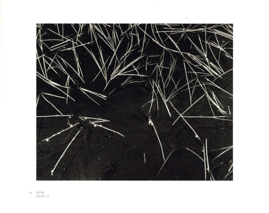 生誕100年記念 アンセル・アダムズ写真集成 / 写真：アンセル