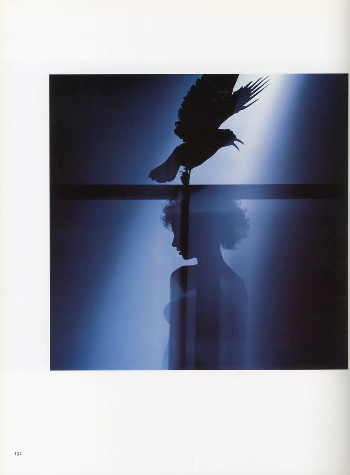 FASHION ETCETERA / SAM HASKINS | 小宮山書店 KOMIYAMA TOKYO