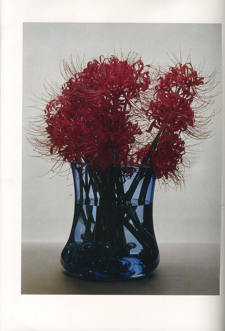 華 中川幸夫作品集 / 中川幸夫 文：滝口修造 | 小宮山書店 KOMIYAMA