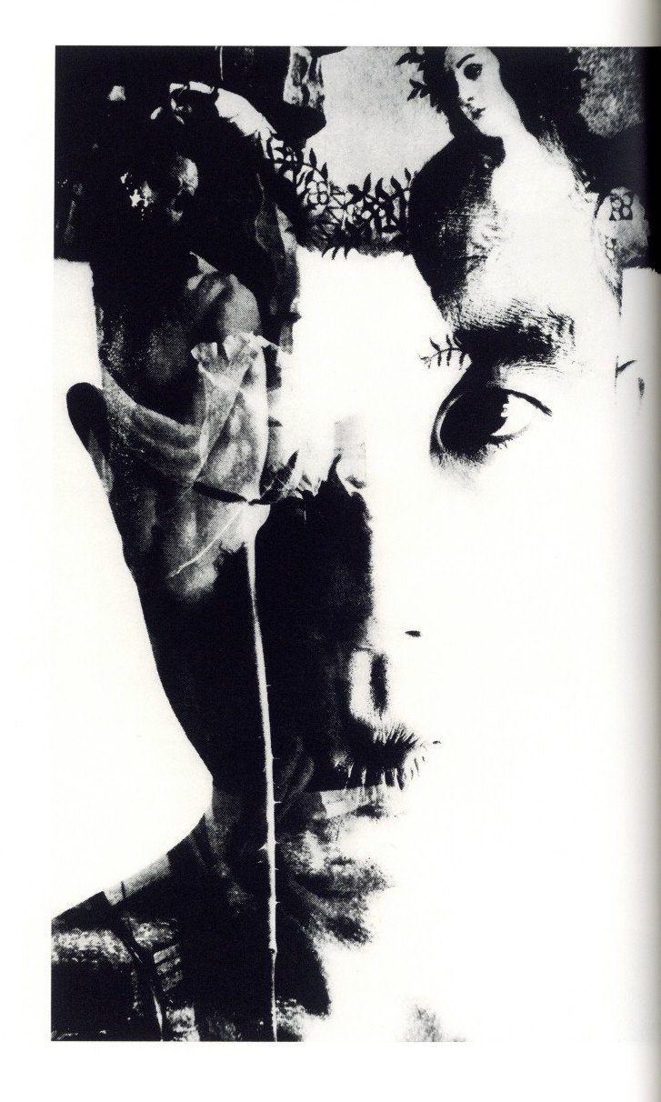 薔薇刑 完全復刻版 / 写真：細江英公 モデル:三島由紀夫 | 小宮山書店