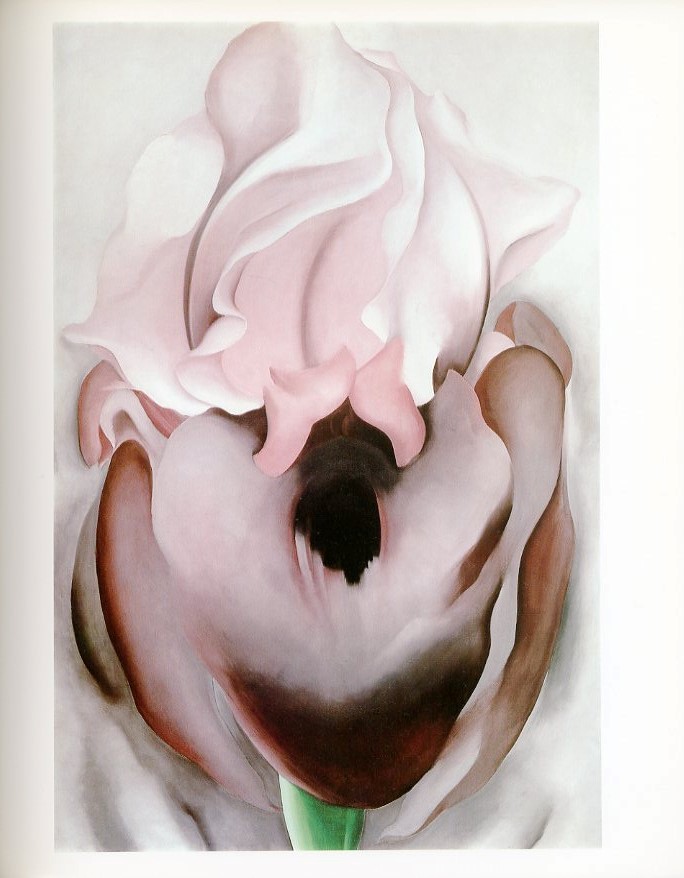 Georgia O'Keeffe: One Hundred Flowers / 著：ジョージア・オキーフ