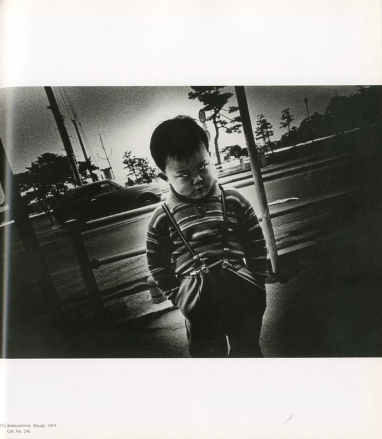 stray dog / Daido Moriyama | 小宮山書店 KOMIYAMA TOKYO | 神保町