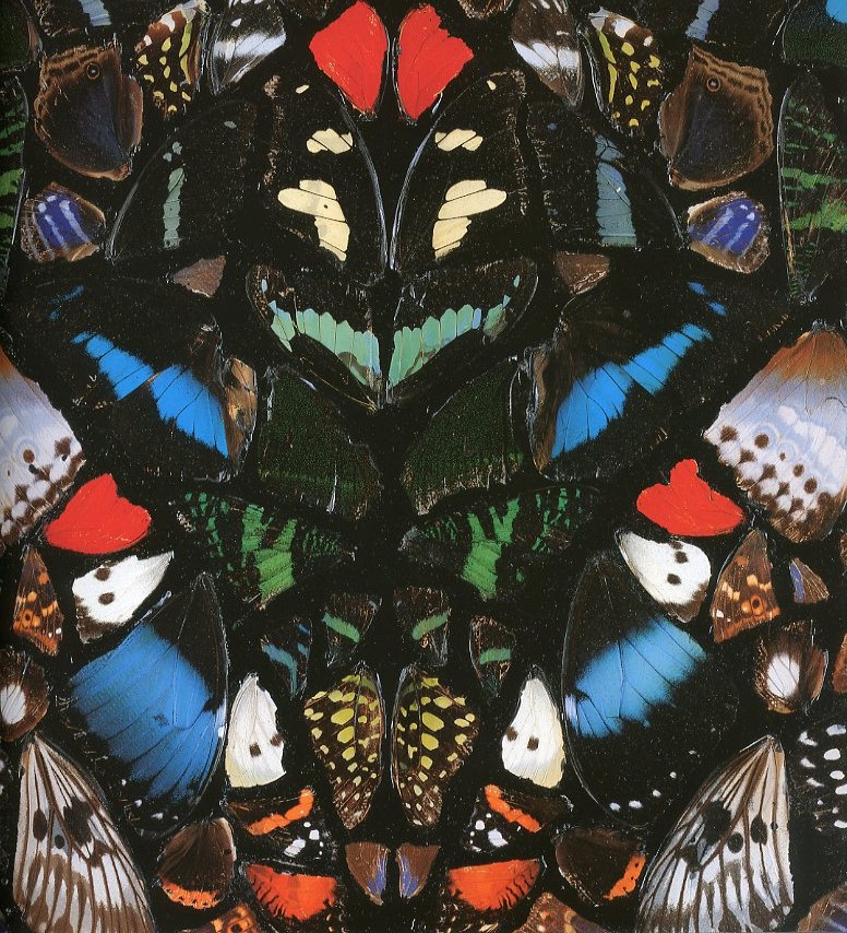 DAMIEN HIRST SUPERSTITION / ダミアン・ハースト | 小宮山書店