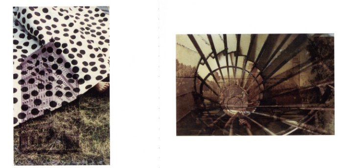 e hagaki / Author: Emi Anrakuji | 小宮山書店 KOMIYAMA TOKYO