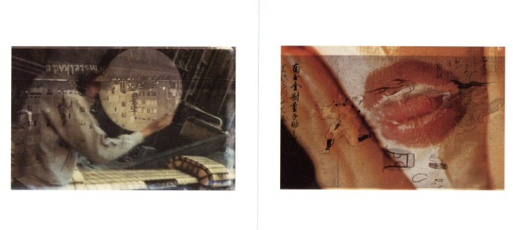 e hagaki / Author: Emi Anrakuji | 小宮山書店 KOMIYAMA TOKYO