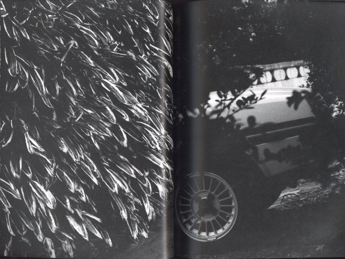 ADIEU A X アデュウ ア エックス / 中平卓馬 | 小宮山書店 KOMIYAMA