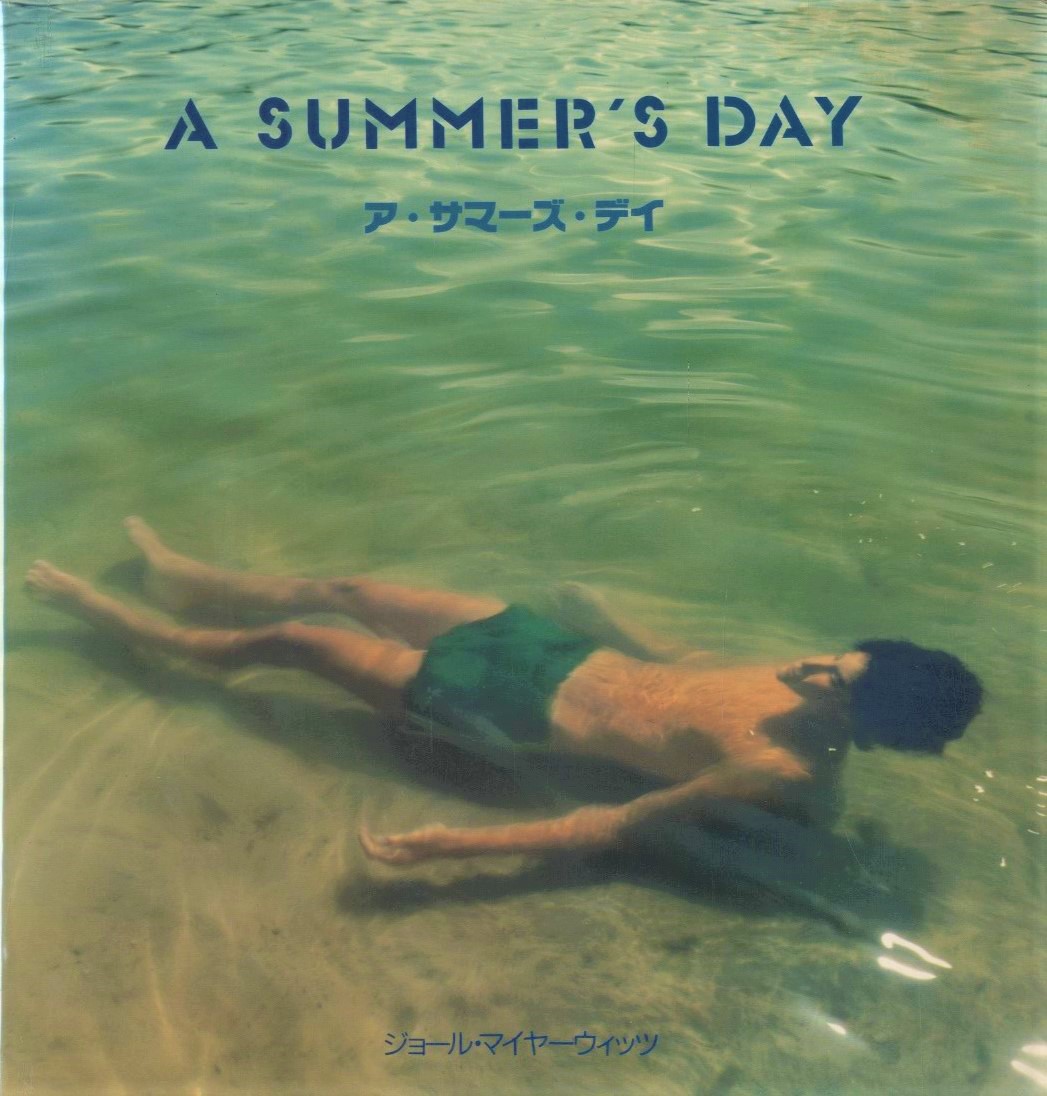 ア・サマーズ・デイ / ジョエル・マイヤーウィッツ | 小宮山書店
