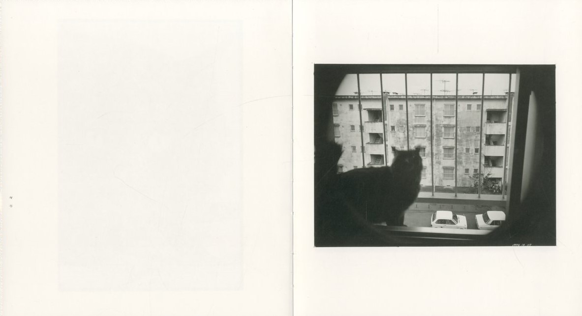 Wonderful Days 深瀬昌久 ポストカード付き 初版本 Wonderful Days