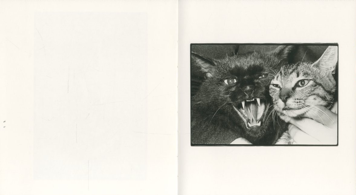 Wonderful Days 深瀬昌久 ポストカード付き 初版本 Wonderful Days