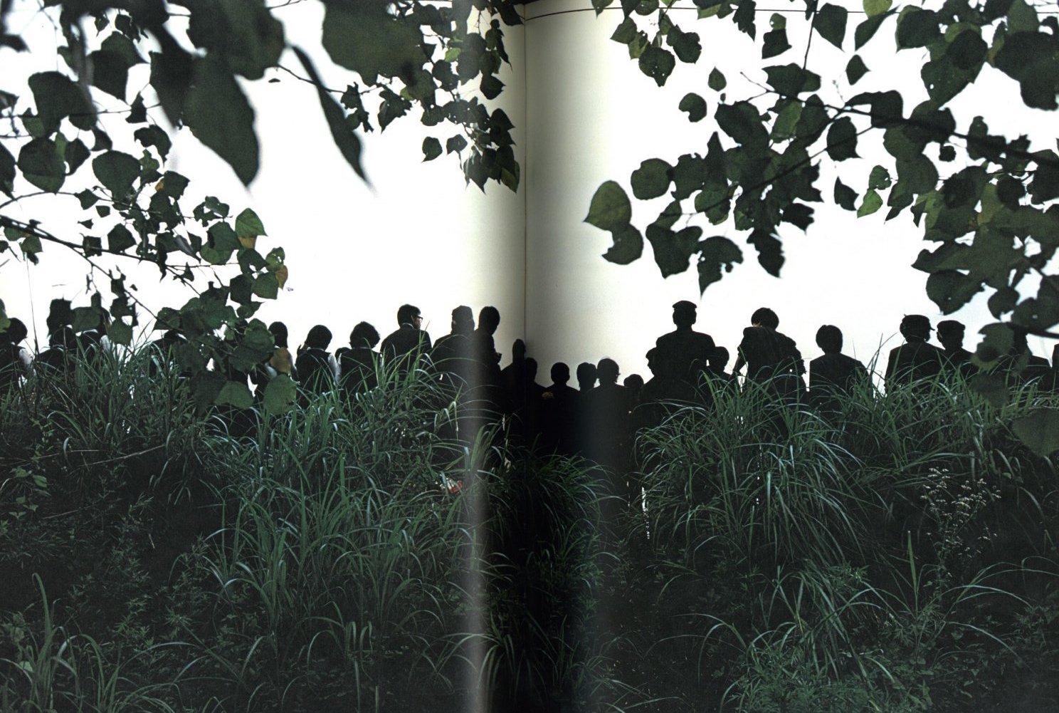 篠山紀信 晴れた日 / 篠山紀信 | 小宮山書店 KOMIYAMA TOKYO | 神保町