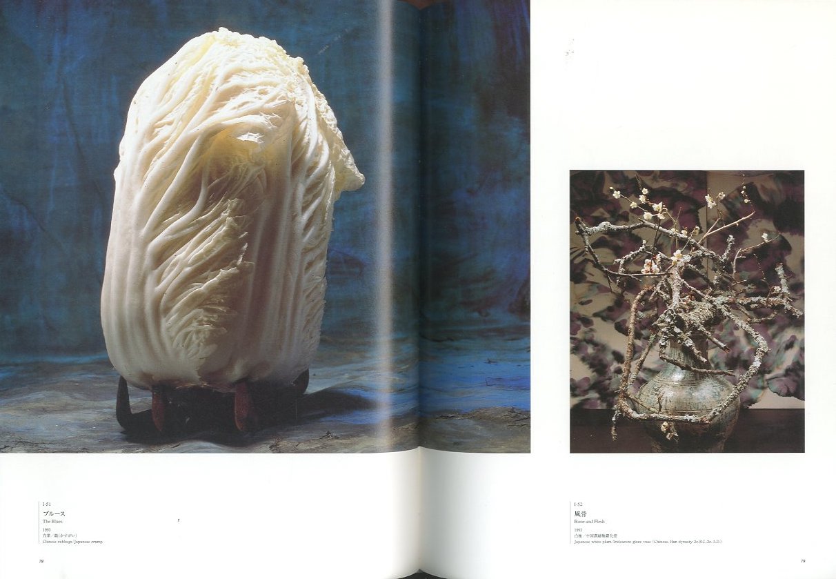 花人 中川幸夫の写真・ガラス・書 −いのちのかたち / 中川幸夫