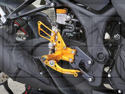 Race Concept Step Kit YZF-R25