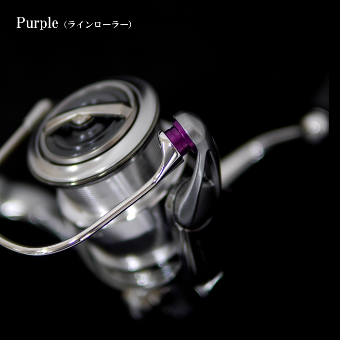 ダイワ × レビテーションエンジニアリング 22 イグジスト LT2000S-P