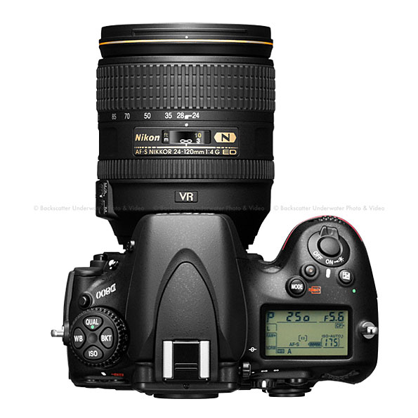 デジタルカメラ Nikon D800 AF-S DX 18-55 デジタルカメラ Nikon D800