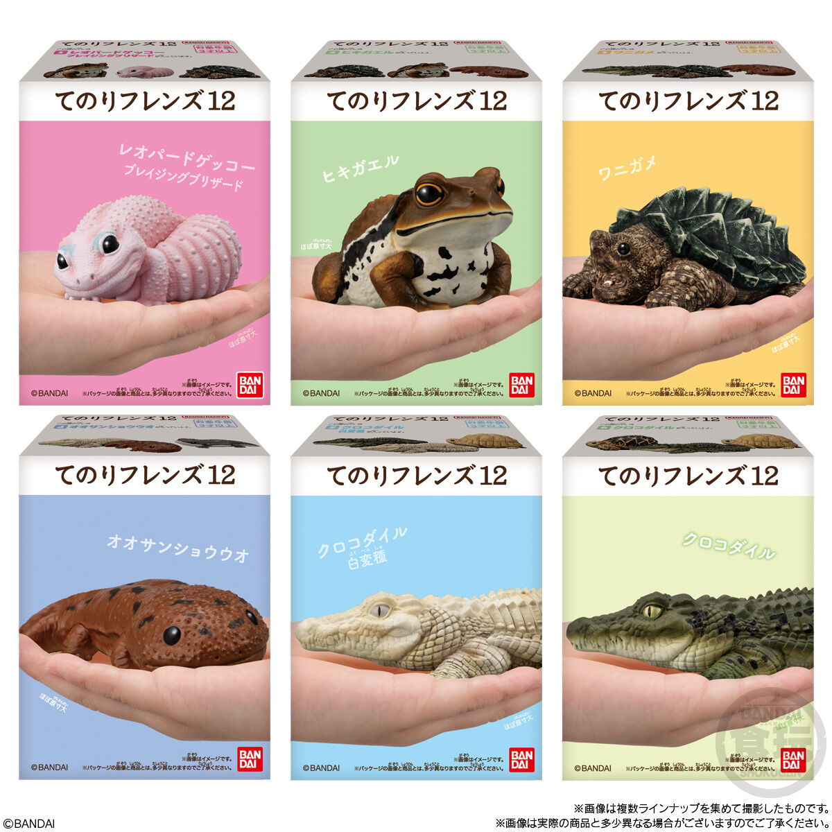 てのりフレンズ12｜発売日：2025年10月20日｜バンダイ キャンディ公式