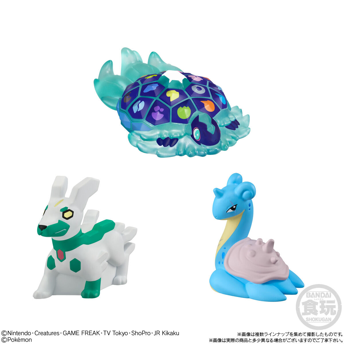 ポケモンキッズ テラパゴス編｜発売日：2025年5月26日｜バンダイ