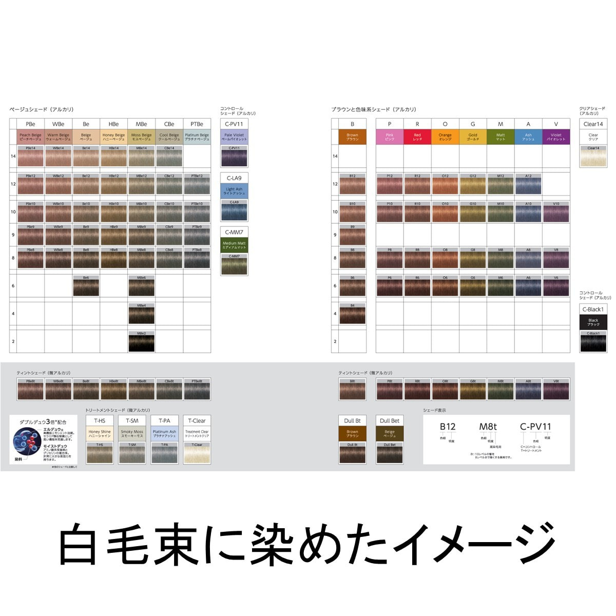 イゴラ ロイヤル ピクサム-F C-Black1《ファッションカラー》80g【医薬