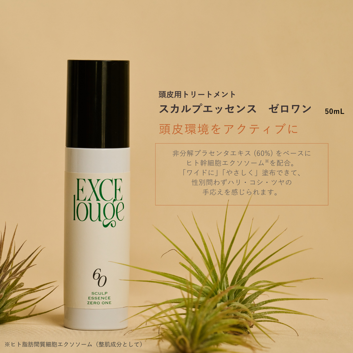 エクセルージュ スカルプエッセンスゼロワン 50mlの卸・通販