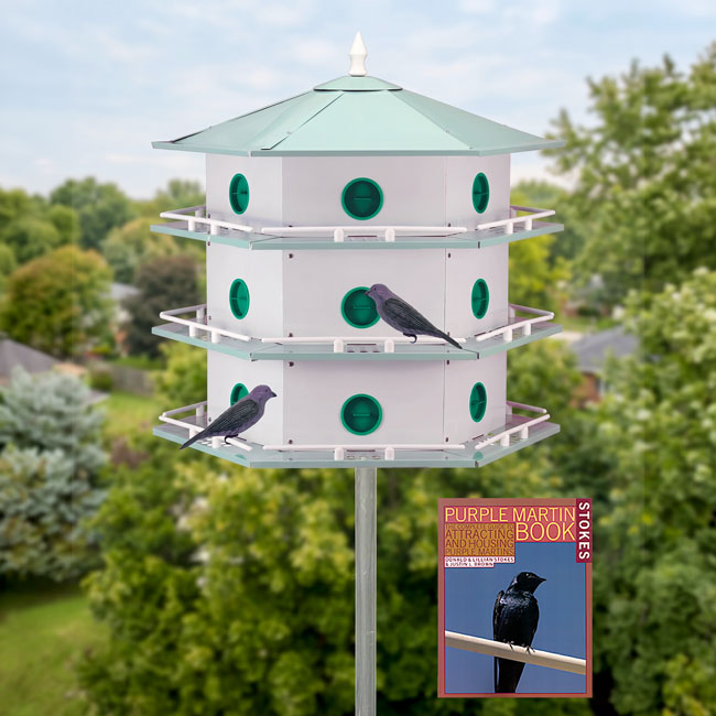 バ*道様 Martin グッズセット Martin Special Booklet & Gigbag