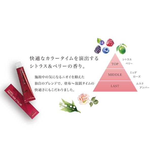 ノミネ プロセンスヘアカラー NBr5 120g | 美通販【公式】理美容プロ