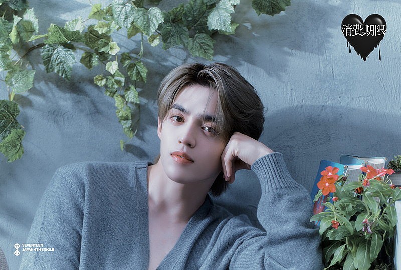 SEVENTEENが癒し＆傷を表現、日本4thシングル『消費期限』コンセプト