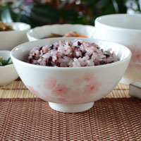 プレマオリジナル森修焼（しんしゅうやき）瀬戸染付焼シリーズ