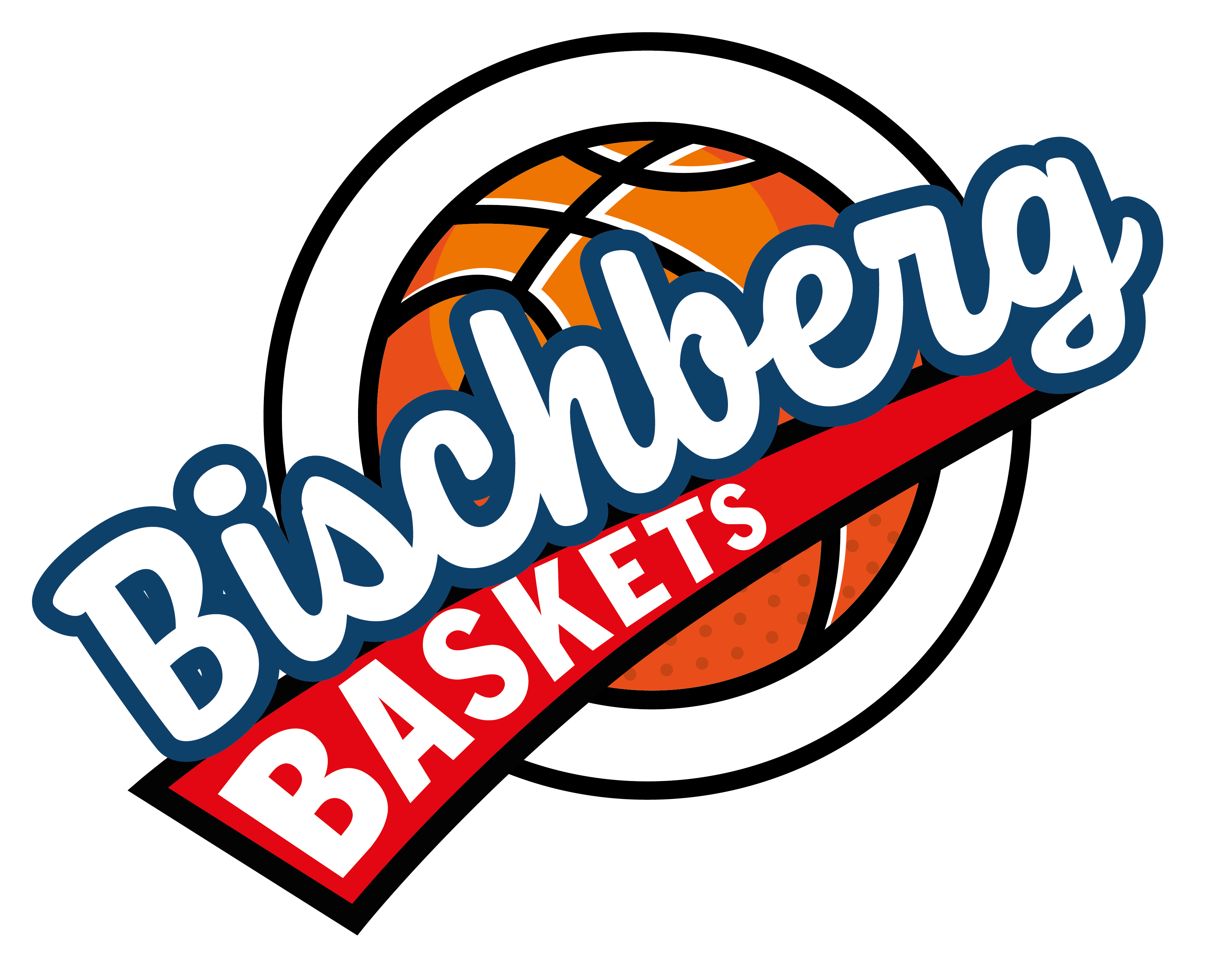 Bischberg Baskets: Home