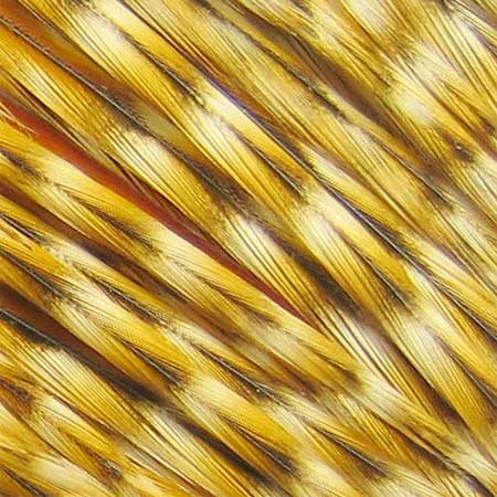 Whiting Farms Whiting Cock Neck Hackle | ホワイティング・ファーム