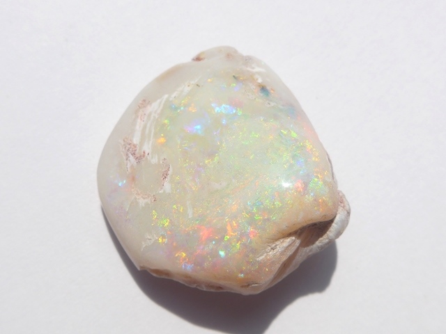 シェルオパール｜オーストラリア産オパール｜オパール