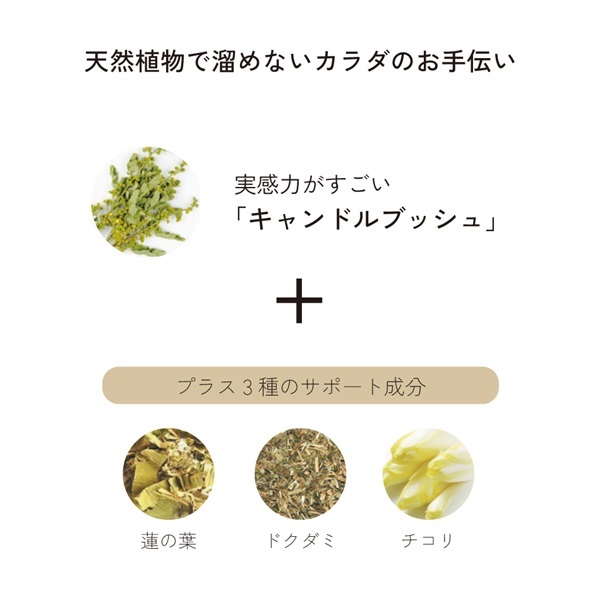 商品詳細ページ