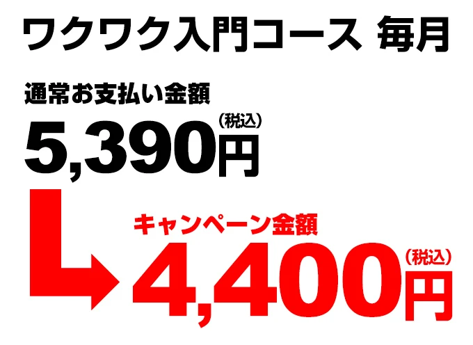 小学生の作文力をアップする通信教育講座「ブンブンどりむ」（齋藤孝