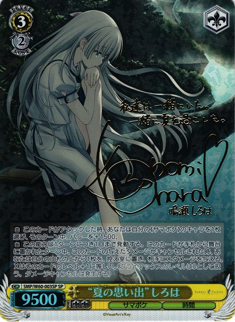 ヴァイスシュヴァルツ/ PSA9 