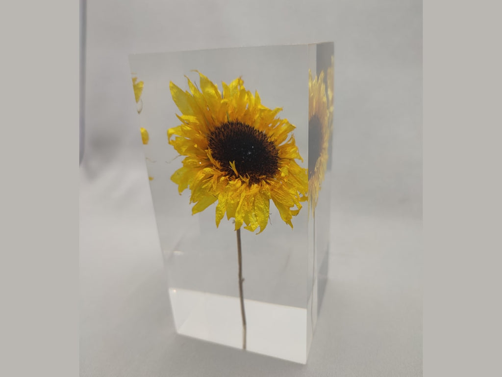 HIMAWARI Object | ヒマワリオブジェ by Takao Inoue | Generate Design