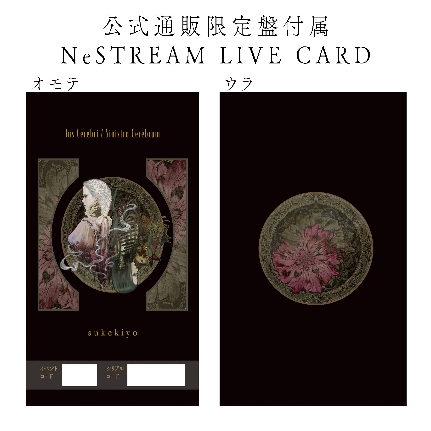 音源映像大全集『Ius Cerebri / Sinistro Cerebrum』 | GALAXY BROAD SHOP