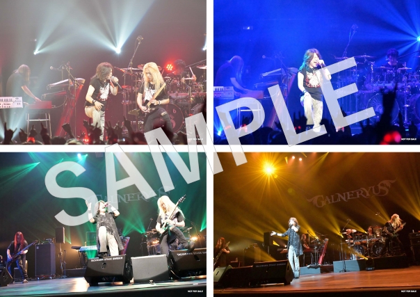 News | Galneryus Official Website