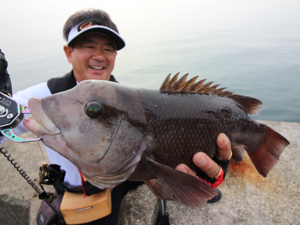 がまチヌ へちさぐり 銀参郎 | がまかつ