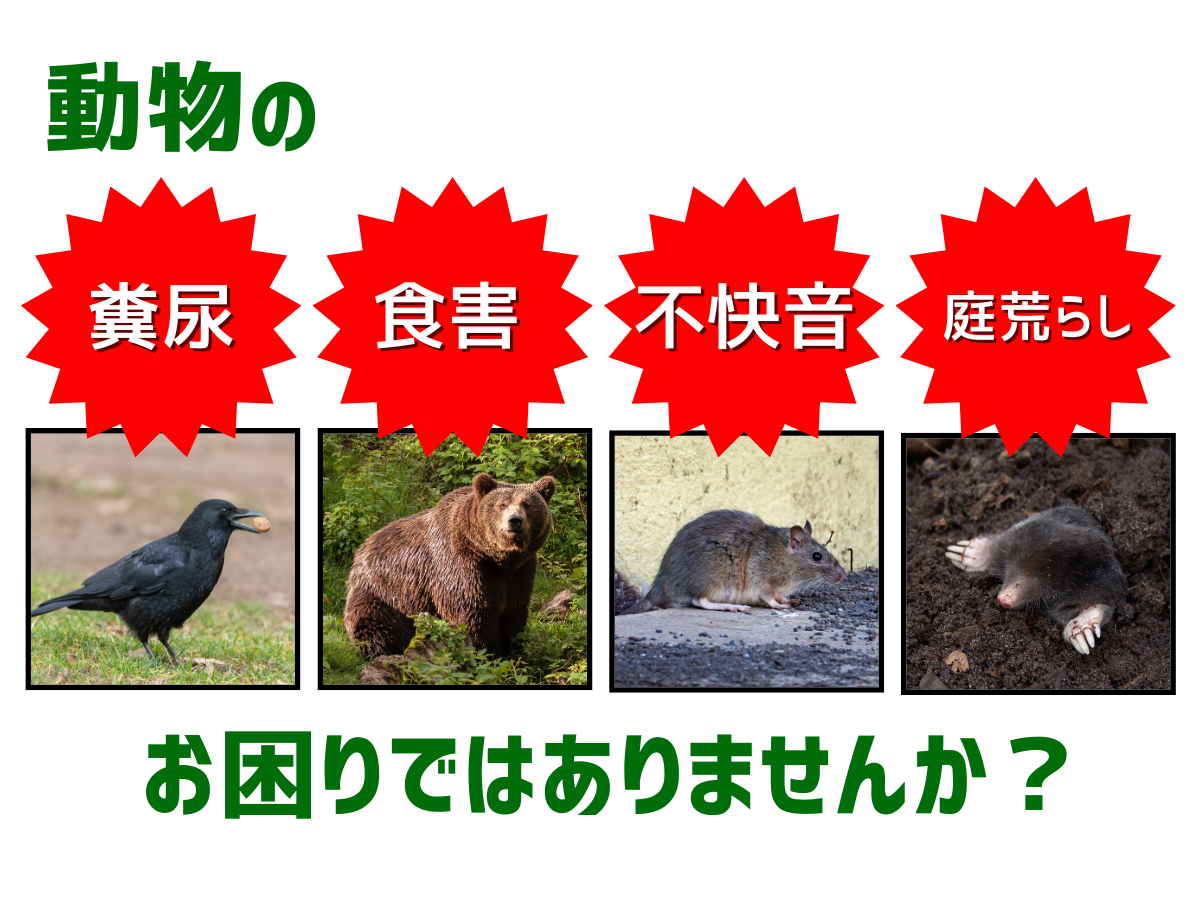 害獣対策LP – GREEN CROSS-select 工事現場の安全対策用品なら