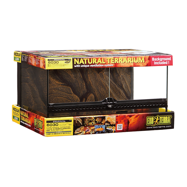 グラステラリウム 爬虫類情報 | 爬虫類用品・エキゾテラのジェックス