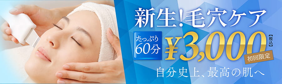 フェイシャルエステ｜エステサロン GINZA BLV(ギンザブルー)