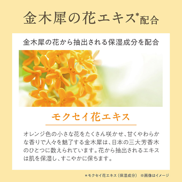 ゆるりと 金木犀（ キンモクセイ ） バスパウダーL（約7回分